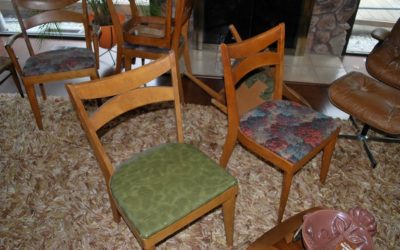 Dining Chairs